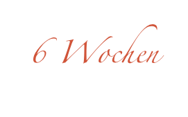 6 Wochen