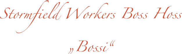 Stormfield Workers Boss Hoss
„Bossi“