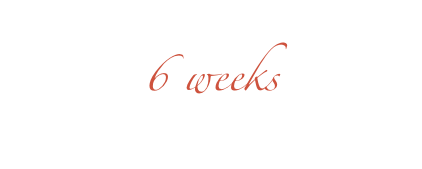 6 weeks