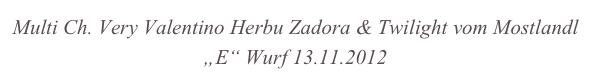 Multi Ch. Very Valentino Herbu Zadora & Twilight vom Mostlandl
„E“ Wurf 13.11.2012