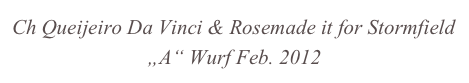 Ch Queijeiro Da Vinci & Rosemade it for Stormfield 
„A“ Wurf Feb. 2012