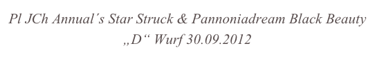 Pl JCh Annual´s Star Struck & Pannoniadream Black Beauty
„D“ Wurf 30.09.2012