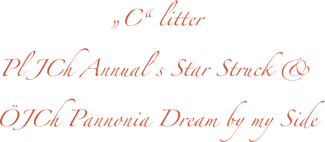 „C“ litter
Pl JCh Annual´s Star Struck & 
ÖJCh Pannonia Dream by my Side 
