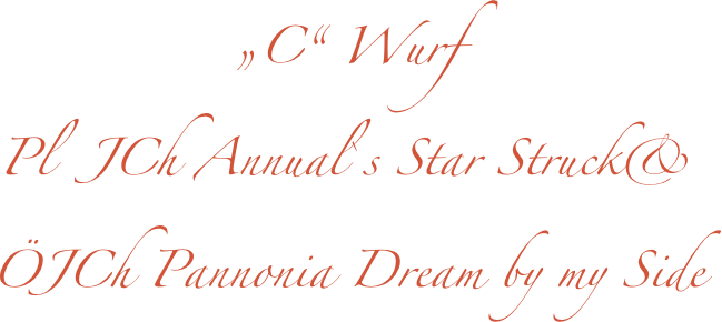 „C“ Wurf
Pl  JCh Annual`s Star Struck& 
ÖJCh Pannonia Dream by my Side