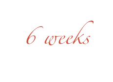 6 weeks