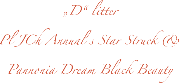 „D“ litter
Pl JCh Annual´s Star Struck & 
Pannonia Dream Black Beauty