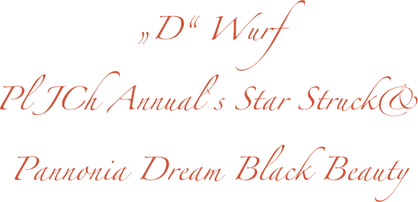 „D“ Wurf
Pl JCh Annual`s Star Struck& 
Pannonia Dream Black Beauty