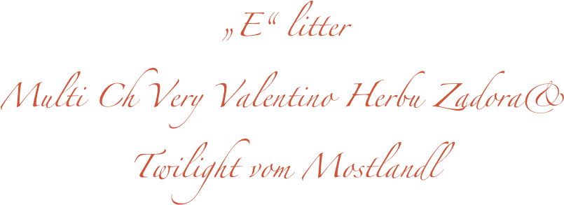 „E“ litter
Multi Ch Very Valentino Herbu Zadora& 
Twilight vom Mostlandl