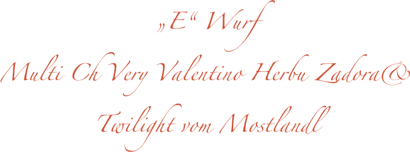 „E“ Wurf
Multi Ch Very Valentino Herbu Zadora& 
Twilight vom Mostlandl