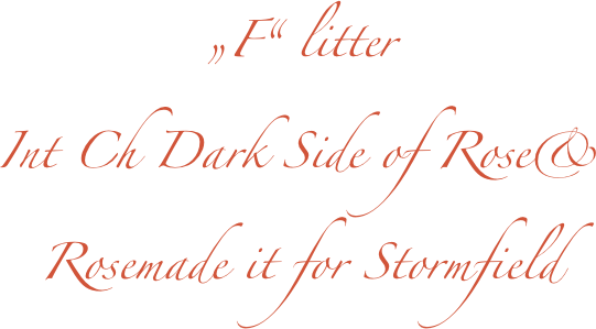 „F“ litter
Int Ch Dark Side of Rose& 
Rosemade it for Stormfield
