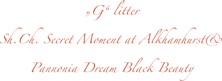 „G“ litter
Sh.Ch. Secret Moment at Alkhamhurst& 
Pannonia Dream Black Beauty