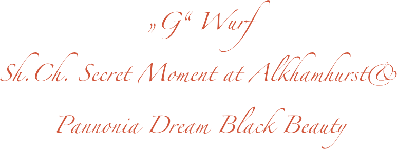 „G“ Wurf
Sh.Ch. Secret Moment at Alkhamhurst& 
Pannonia Dream Black Beauty