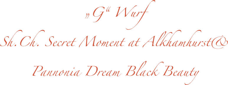 „G“ Wurf
Sh.Ch. Secret Moment at Alkhamhurst& 
Pannonia Dream Black Beauty