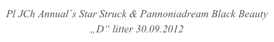 Pl JCh Annual´s Star Struck & Pannoniadream Black Beauty
„D“ litter 30.09.2012