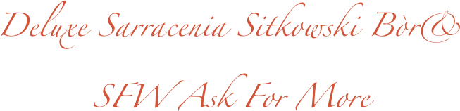 Deluxe Sarracenia Sitkowski Bòr& 
SFW Ask For More